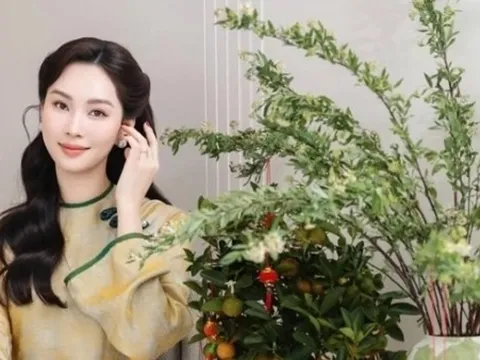 Hoa hậu Đặng Thu Thảo trang hoàng nhiều loại cây, hoa hút tài lộc ngày Tết