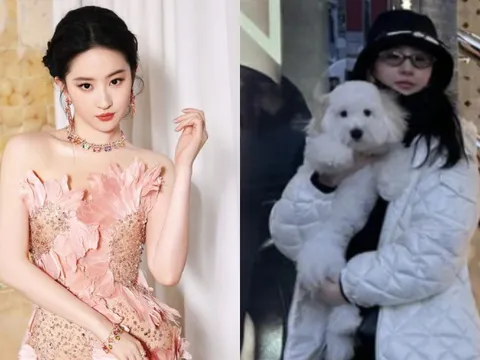 Lưu Diệc Phi để mặt mộc khi đăng ảnh 'sống ảo', nhan sắc hiện tại được khen trẻ như gái đôi mươi