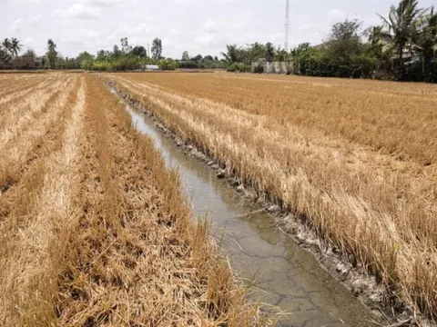 Chủ động ứng phó xâm nhập mặn, hạn hán và cháy rừng tại các tỉnh phía Nam