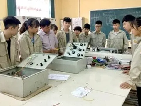 Quy định xem xét thuyên chuyển, điều động hoặc xét chuyển vị trí việc làm