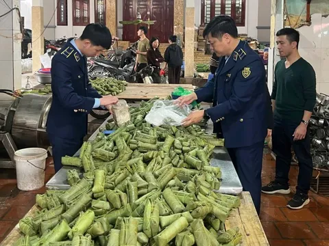 Khởi tố chủ cơ sở sản xuất giò chả sử dụng hàn the, thu giữ hơn 1,2 tấn thực phẩm vi phạm