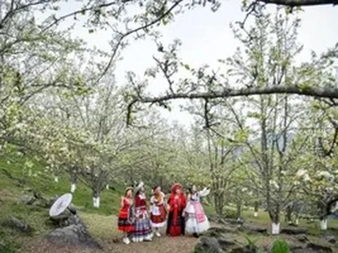 Lễ hội Hoa lê Hồng Thái lan tỏa giá trị văn hóa vùng cao