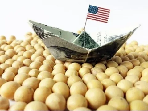 Trung Quốc - Khách hàng mua đậu tương lớn nhất và không thể thay thế của Mỹ