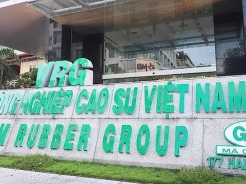 Một số công ty con của GVR thua lỗ, rủi ro mất vốn nhà nước