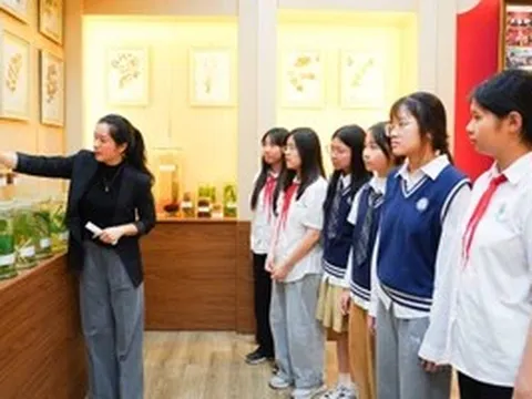 Phát triển toàn diện con người: Trục xuyên suốt của chiến lược giáo dục