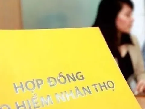 Mất trắng quyền lợi 200 triệu bảo hiểm nhân thọ vì chậm đóng phí 4 tháng: Người phụ nữ kiện công ty bảo hiểm vì đột nhiên nhân viên không đến nhà thu phí