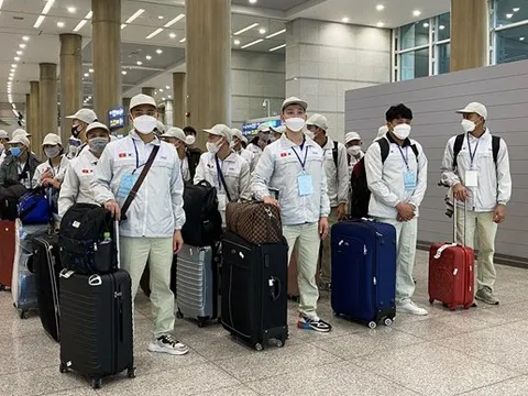 Tạm dừng hoạt động đưa người lao động đi làm việc tại khu vực Trung Đông