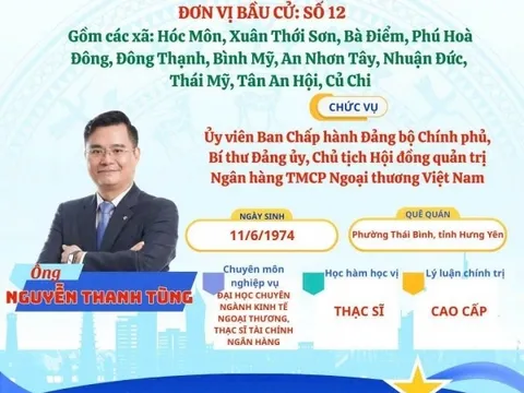 Chủ tịch HĐQT Vietcombank Nguyễn Thanh Tùng ứng cử đại biểu Quốc hội khóa XVI tại đơn vị bầu cử số 12, TP. Hồ Chí Minh