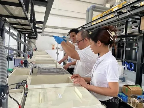 S&P Global: Ngành sản xuất Việt Nam tâm thế tích cực đầu năm mới