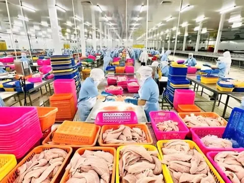 Hộ kinh doanh phải báo cơ quan thuế các tài khoản nhận tiền