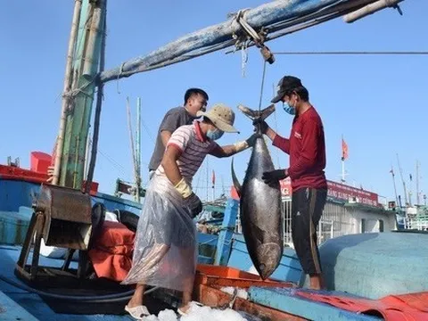 Nga, EU và Nhật Bản đua nhau