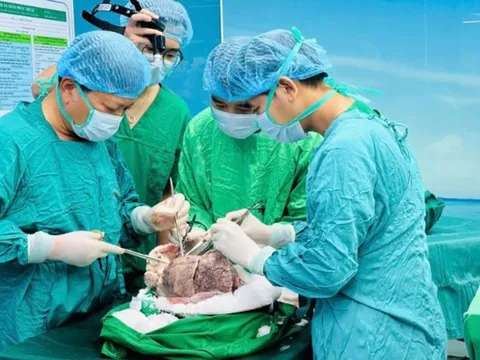 Chi phí ghép phổi rẻ hơn Mỹ 25 lần, Việt Nam 'tỏa sáng' trên bản đồ ghép tạng