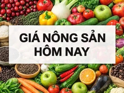 Giá nông sản hôm nay 11/3/2026: Giá cà phê khó lường, nguồn robusta lớn sắp ra hàng; Dầu Nga ở đâu khi thị trường năng lượng toàn cầu rung chuyển?