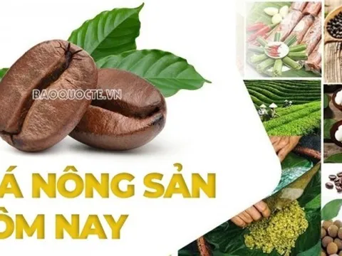 Giá nông sản hôm nay 10/3/2026: Giá cà phê, giá tiêu áp lực trước