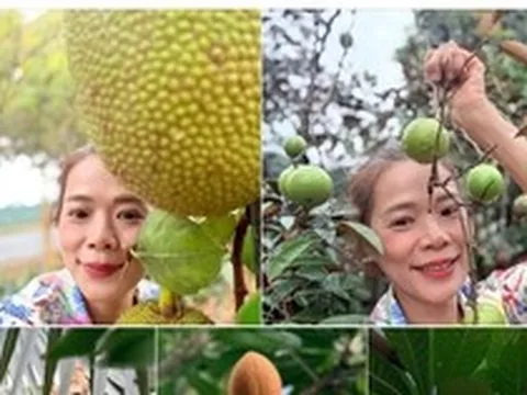 Nữ đại gia Vbiz là phó chủ tịch tập đoàn dược, sở hữu vài biệt thự nghìn m2: Tuổi U55 thích làm "nông dân", khoe gia tài lớn "đếm mỏi tay" ai cũng trầm trồ