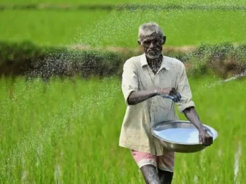 Ấn Độ kêu gọi Trung Quốc nới hạn chế xuất khẩu urê vì nguyên nhân này