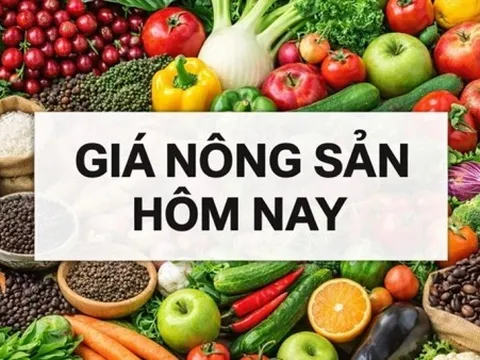Giá nông sản hôm nay 16/3/2026: Giá cà phê trong nước mất hơn 6.000 đồng, robusta giảm nhiều hơn; Ông Trump giục Trung Quốc giúp mở Eo biển Hormuz