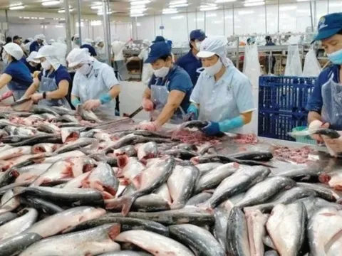 Nâng cao mức độ sẵn sàng, năng lực chuyển đổi số của doanh nghiệp nhỏ