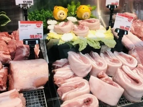 Giá heo hơi hôm nay 18/3: Đồng loạt đi lên, dao động trong khoảng 62.000 - 67.000 đồng/kg