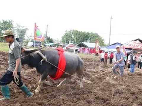 Lưu giữ sắc màu văn hóa Tày, Nùng từ lễ hội Lồng Tồng ở Tây Nguyên