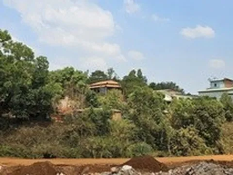 Loay hoay thu hồi hàng chục ngàn mét vuông đất rừng