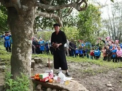 Độc đáo lễ hội dưới tán trà cổ thụ của người Cờ Lao