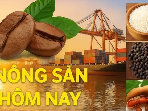 Giá nông sản hôm nay 24/3/2026: Giá cà phê có thể tiếp đà tăng từ tuần trước? Giá tiêu thấp; Iran làm rõ các tàu được lưu thông qua eo biển Hormuz
