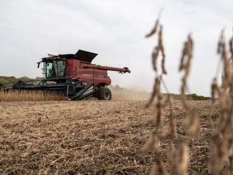 Giá phân bón tăng vọt, nông dân Mỹ thêm gánh nặng trong bối cảnh căng thẳng tại Trung Đông