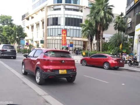 'Tấm khiên' kinh tế mới