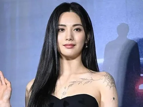 Nana sẽ ra tòa làm chứng vụ bị trộm đột nhập nhà riêng