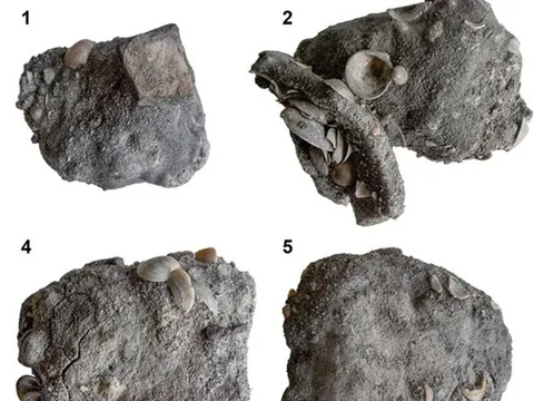 Israel: 'Kho báu' sắt 2.600 năm tuổi trong xác tàu đắm dưới đáy biển Carmel