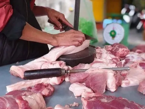 Giá heo hơi hôm nay 30/3: Dự báo tiếp tục biến động trong tuần tới, giao dịch trong khoảng từ 62.000 - 68.000 đồng/kg