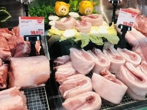 Giá heo hơi hôm nay 31/3: Ba miền đều lao dốc, miền Trung - Tây Nguyên giảm mạnh nhất