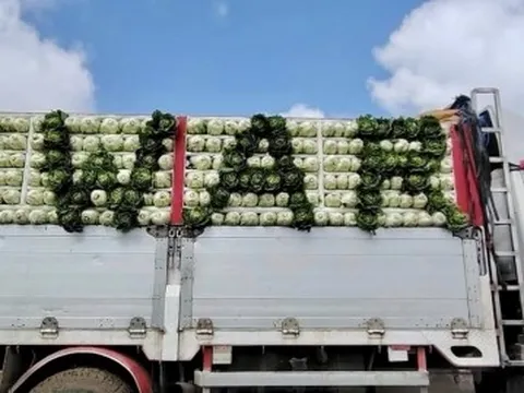 Nông dân Philippines 'khóc ròng' vì giá nhiên liệu tăng phi mã