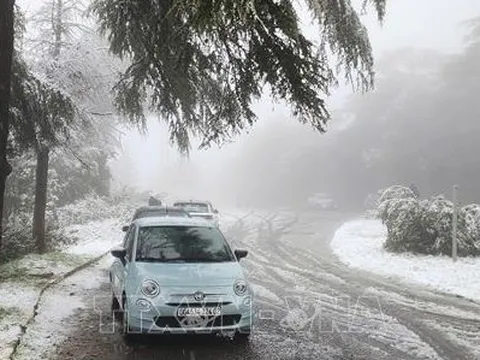 Algeria bất ngờ đón tuyết rơi giữa mùa Xuân