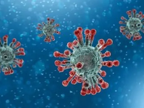 Xuất hiện biến thể COVID-19 ‘Ve sầu’, chuyên gia dịch tễ khuyến cáo gì?