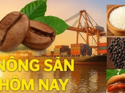 Giá nông sản hôm nay 2/4/2026: Giá cà phê phân hóa, Việt Nam tìm cách định hình giá trị robusta; Trung Quốc tính lại bài toán mua năng lượng Mỹ