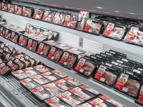 Giá heo hơi hôm nay 3/4: Miền Trung - Tây Nguyên tăng nhẹ, miền Nam đi ngang, vùng giá giao dịch từ 63.000 – 68.000 đồng/kg