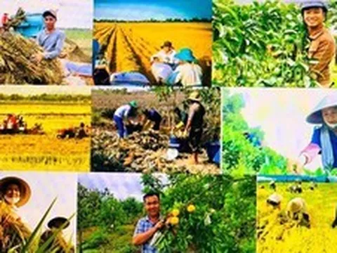 Thúc đẩy phát triển nông nghiệp, nông thôn bền vững