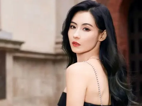 Trương Bá Chi bất ngờ được tìm kiếm nóng, chuyện gì đã xảy ra?