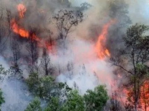 Nắng nóng kéo dài, tăng cường ứng phó nguy cơ cháy rừng