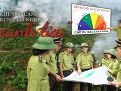 Khi mỗi cánh rừng có người ‘canh lửa’