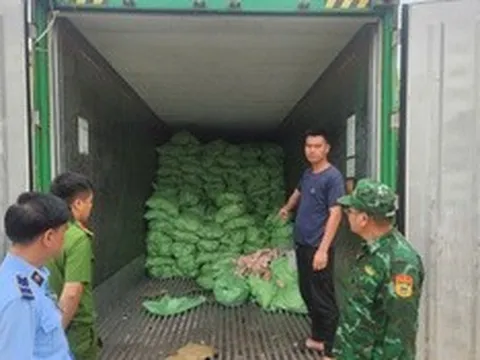 Quảng Ninh: Thu giữ hơn 25 tấn thực phẩm đông lạnh không rõ nguồn gốc