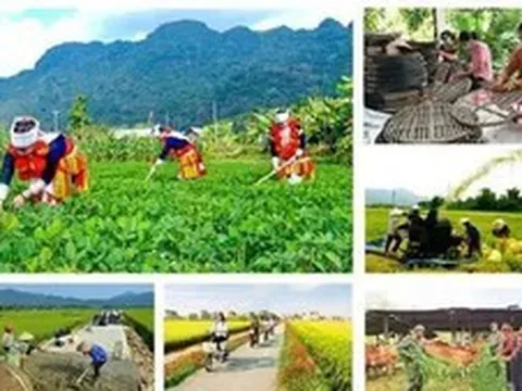 Chương trình mục tiêu quốc gia giai đoạn mới: Hoàn thiện thể chế, tập trung nguồn lực cho cơ sở