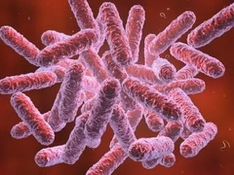 23 người tử vong do bệnh 'sốt đất' ở Thái Lan, Bộ Y tế cảnh báo