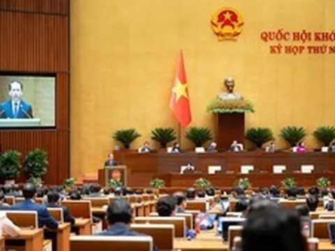 Thí điểm chế định luật sư công tại 8 bộ và 10 địa phương  trong 2 năm