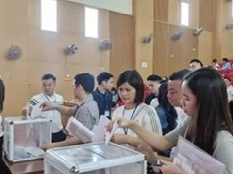 Hà Nội: 17 lô đất ở xã Quốc Oai được đấu giá thành công từ 84 - 125 triệu đồng/m2