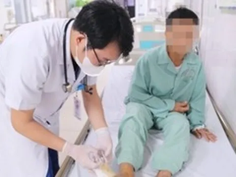 Tiêm 30 lọ huyết thanh cứu chủ trang trại nuôi hàng nghìn con rắn