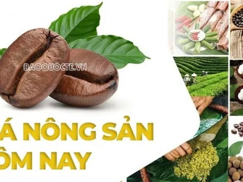 Giá nông sản hôm nay 27/4/2026: Giá cà phê sẽ chỉ 'sôi động' trở lại vào đầu tháng 5; Mỹ thay đổi lập trường liên tiếp về lệnh trừng phạt dầu Nga