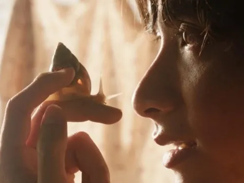 Phim Việt tranh giải tại Liên hoan phim Cannes 2026